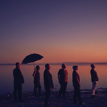 Disco de vinil The Slackers - Don't Let The Sunlight Fool Ya (Coloured) (LP) - 1