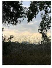 LP ploča Jon Porras - Arroyo (Limited Edition) (Clear Coloured) (LP)