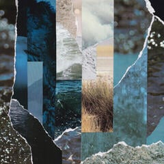 Disc de vinil Cremation Lily - Dreams Drenched In Static (Limited Edition) (LP)