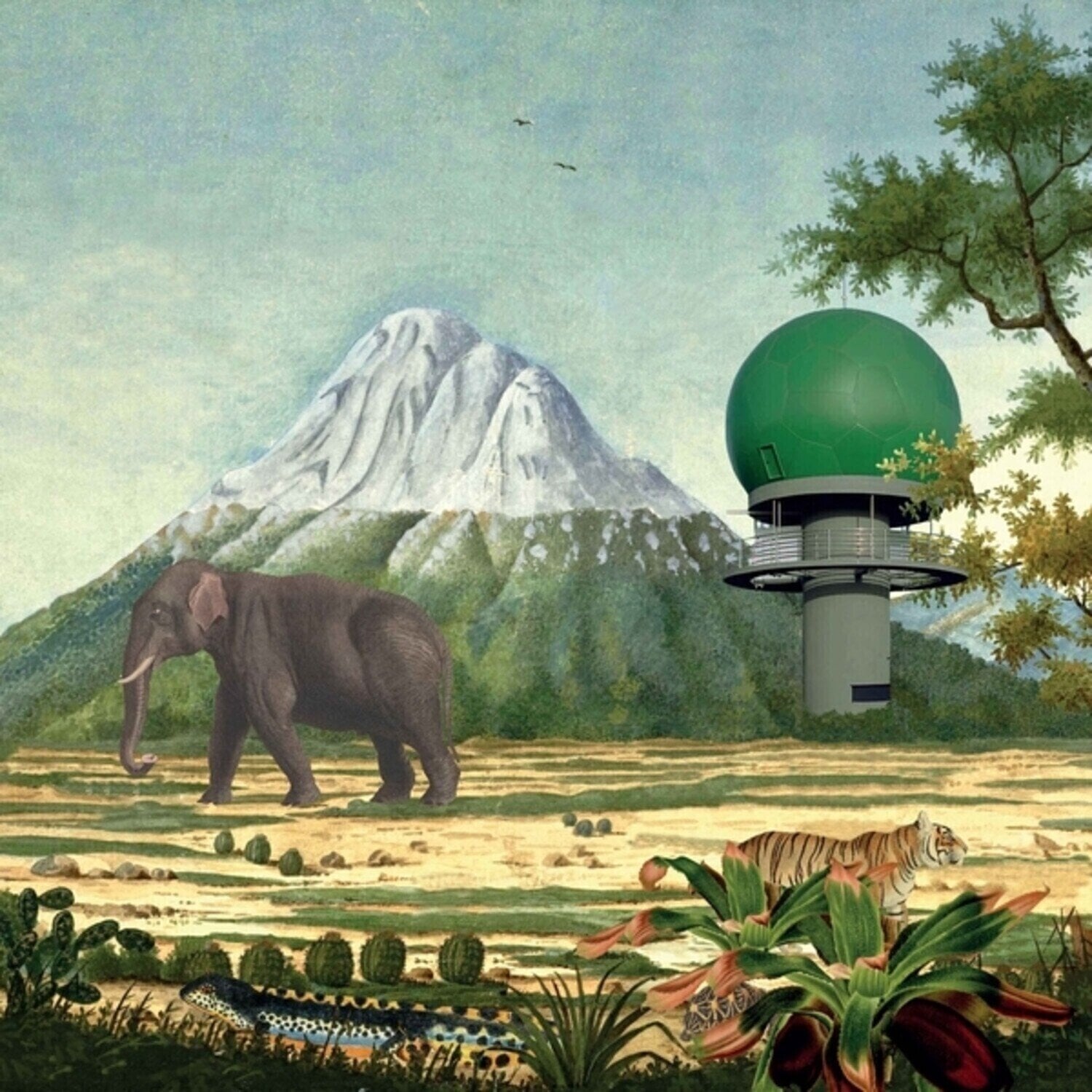 Vinyl Record Various Artists - Radar Keroxen Vol. 5 (LP)