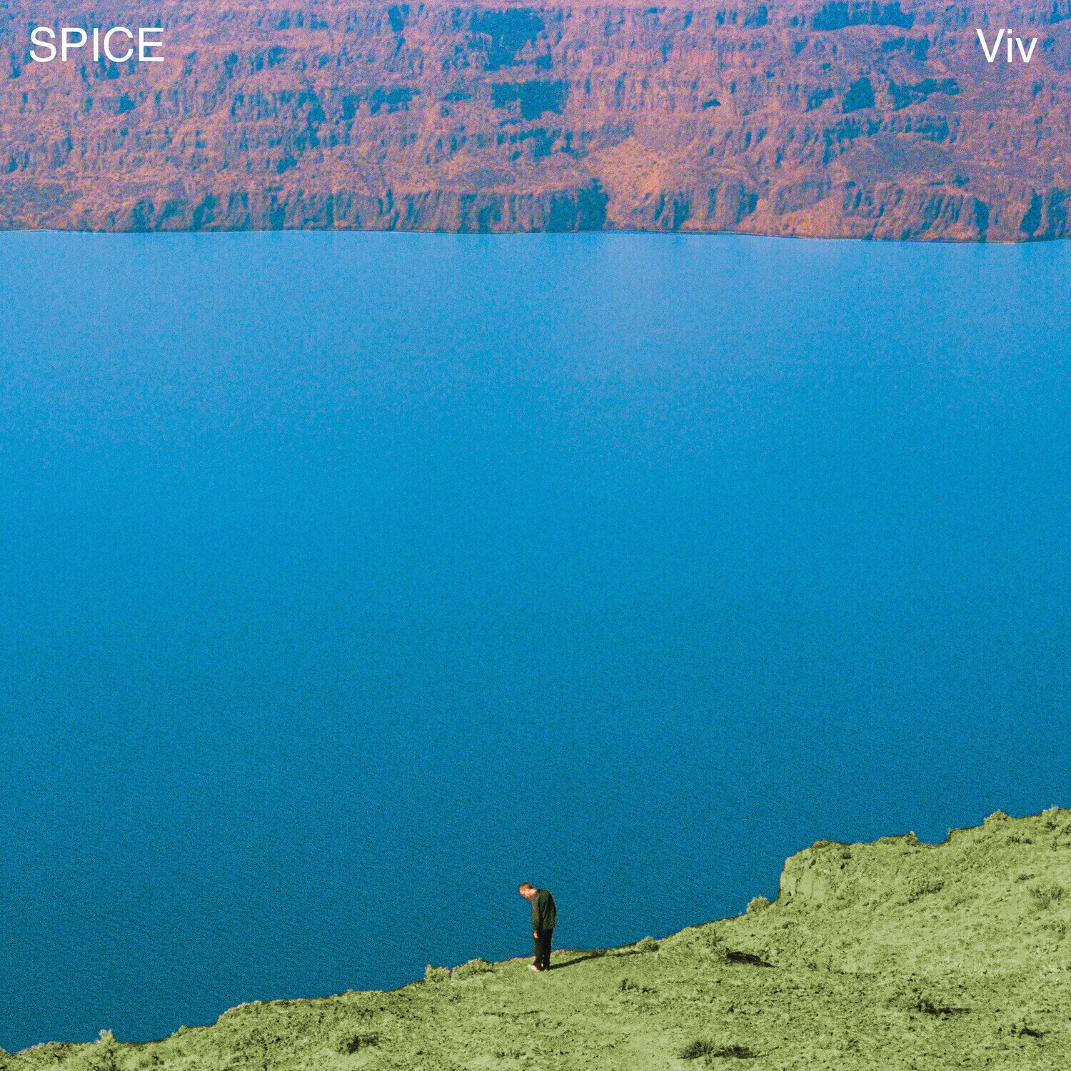 Disco de vinilo Spice - Viv (LP)