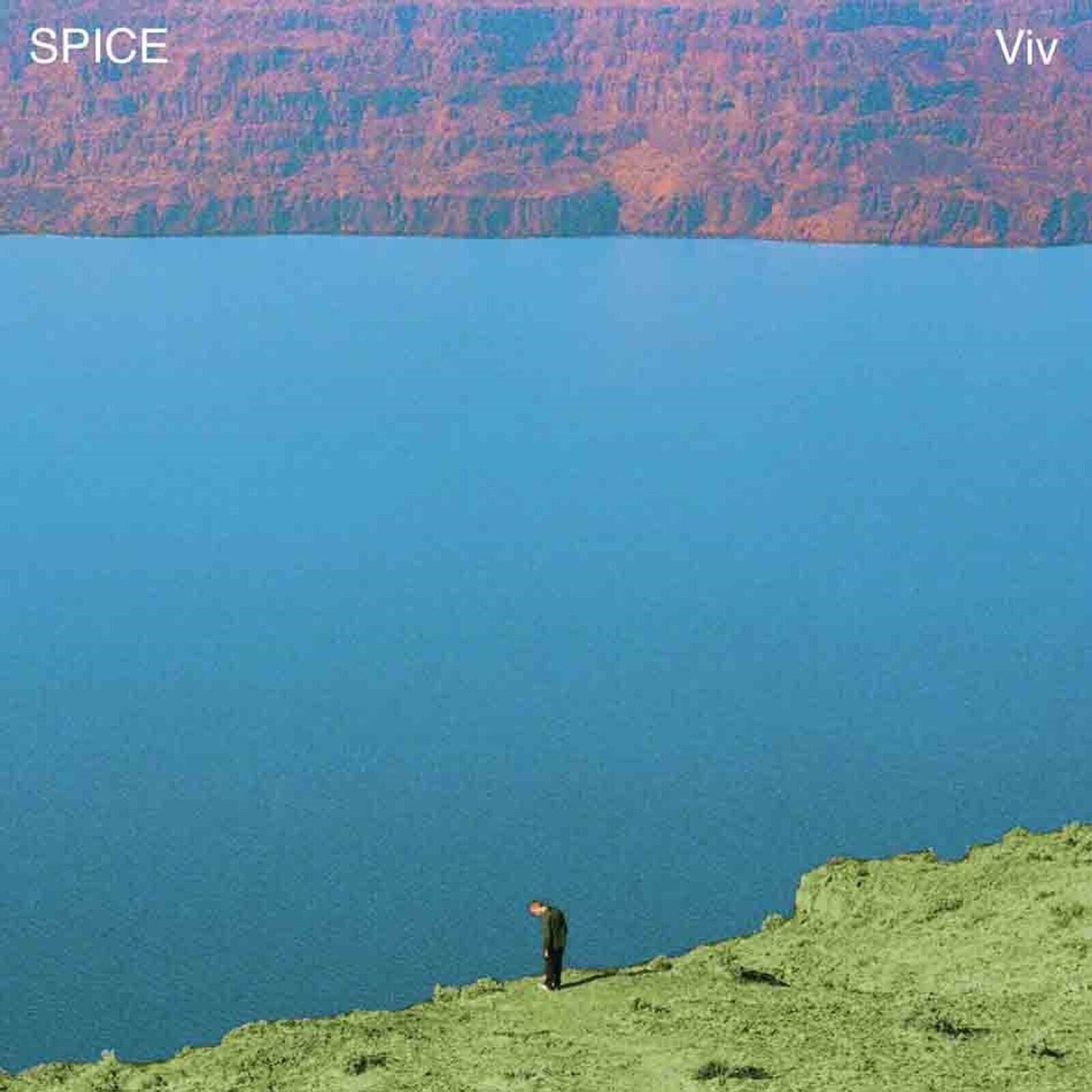 Vinylplate Spice - Viv (Limited Indie Edition) (LP)