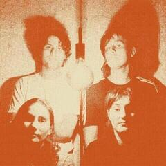 Vinyl Record The Stroppies - Levity (LP)