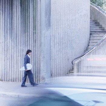 Vinyl Record Bianca Steck - The Joy Of Coincidences (LP) - 1