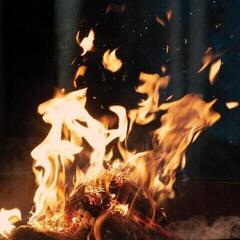 Vinylplate Fran - Leaving (LP)