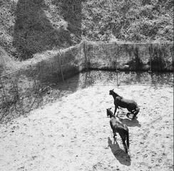 LP ploča Center - Over The Stations (LP)