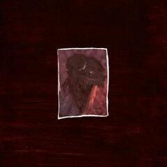 Hanglemez Matterhorn Well - Sketches For Francis (LP)