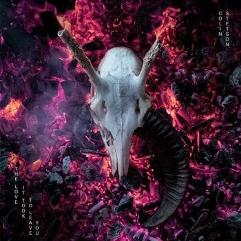 Disco de vinil Colin Stetson - The Love It Took To Leave You (2 LP) - 1