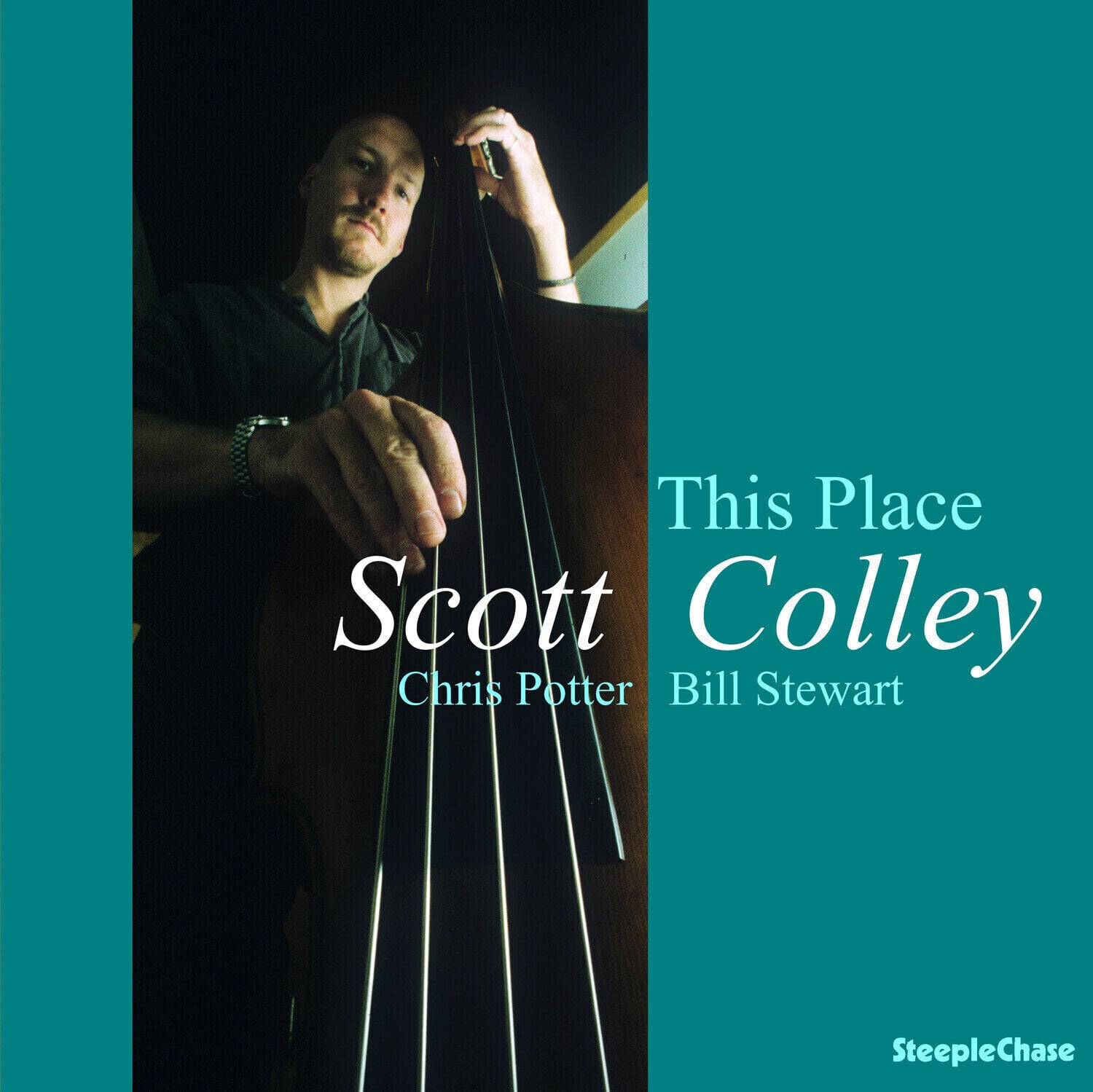 Vinyl Record Scott Colley - This Place (Reissue) (LP)