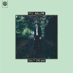 LP deska Kyle Avallone - Crazy Dreams (LP)
