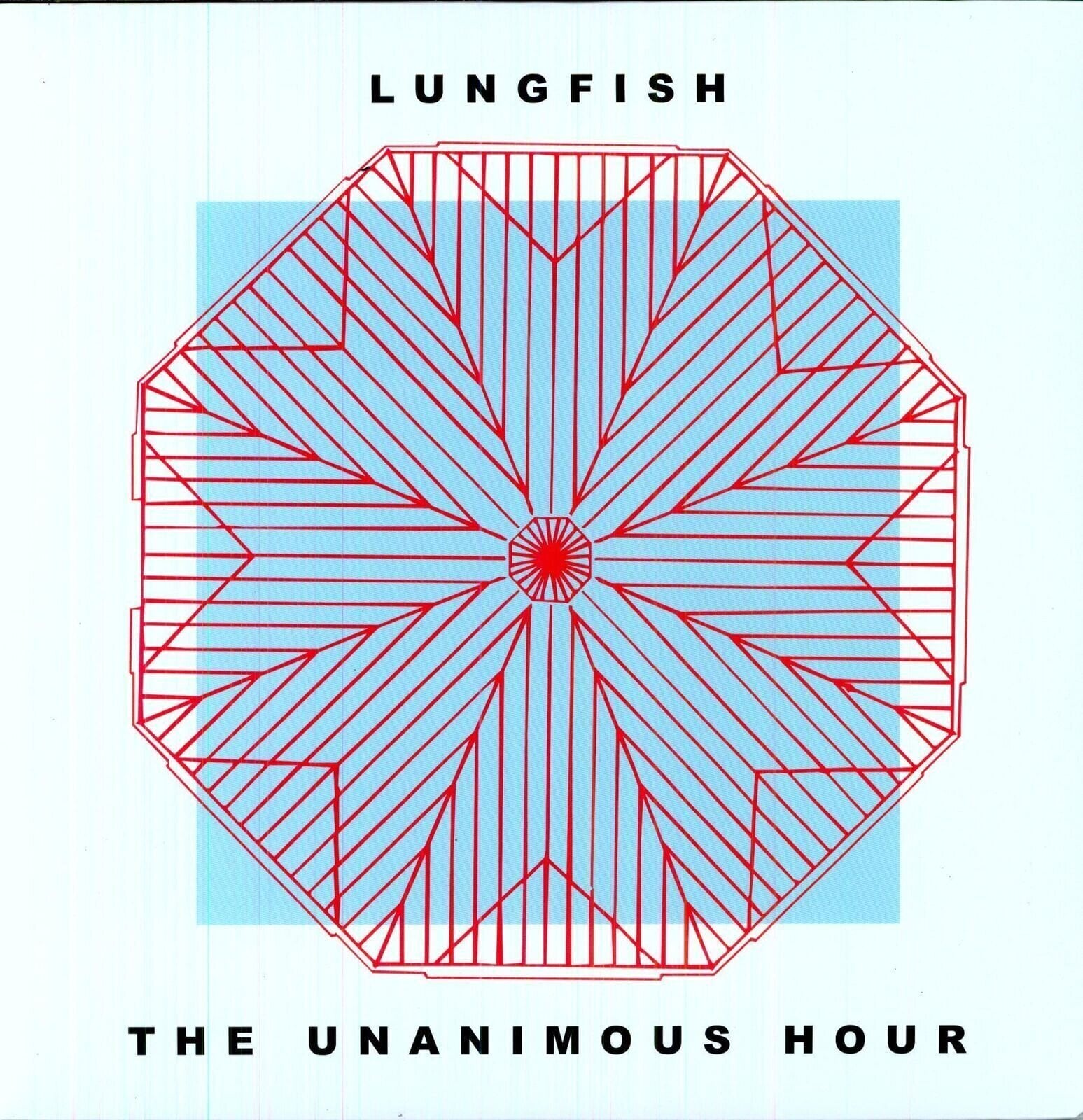 Vinyl Record Lungfish - The Unanimous Hour (LP)