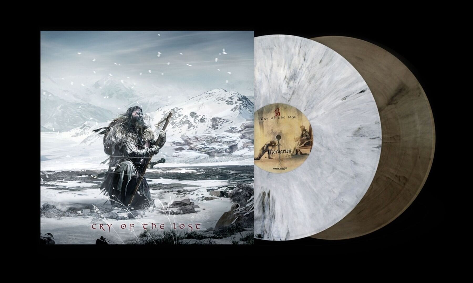 LP ploča Morgarten - Cry of the Lost (Limited Edition) (2 LP)