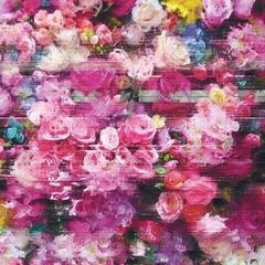 Vinyl Record Bersarin Quartett - Systeme (Limited Edition) (White Coloured) (2 LP)