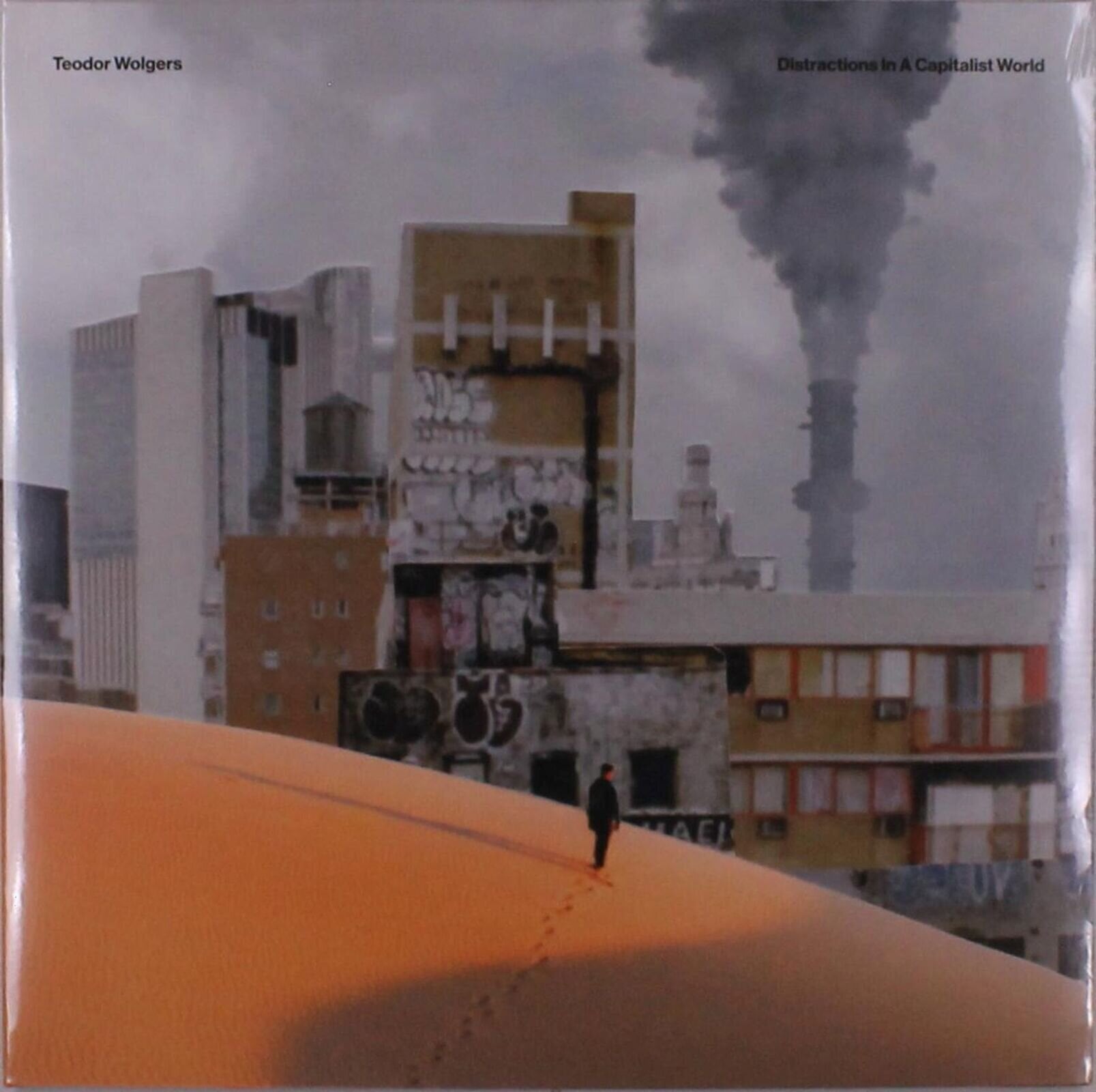 Vinylskiva Teodor Wolgers - Distractions In A Capitalist World (LP)