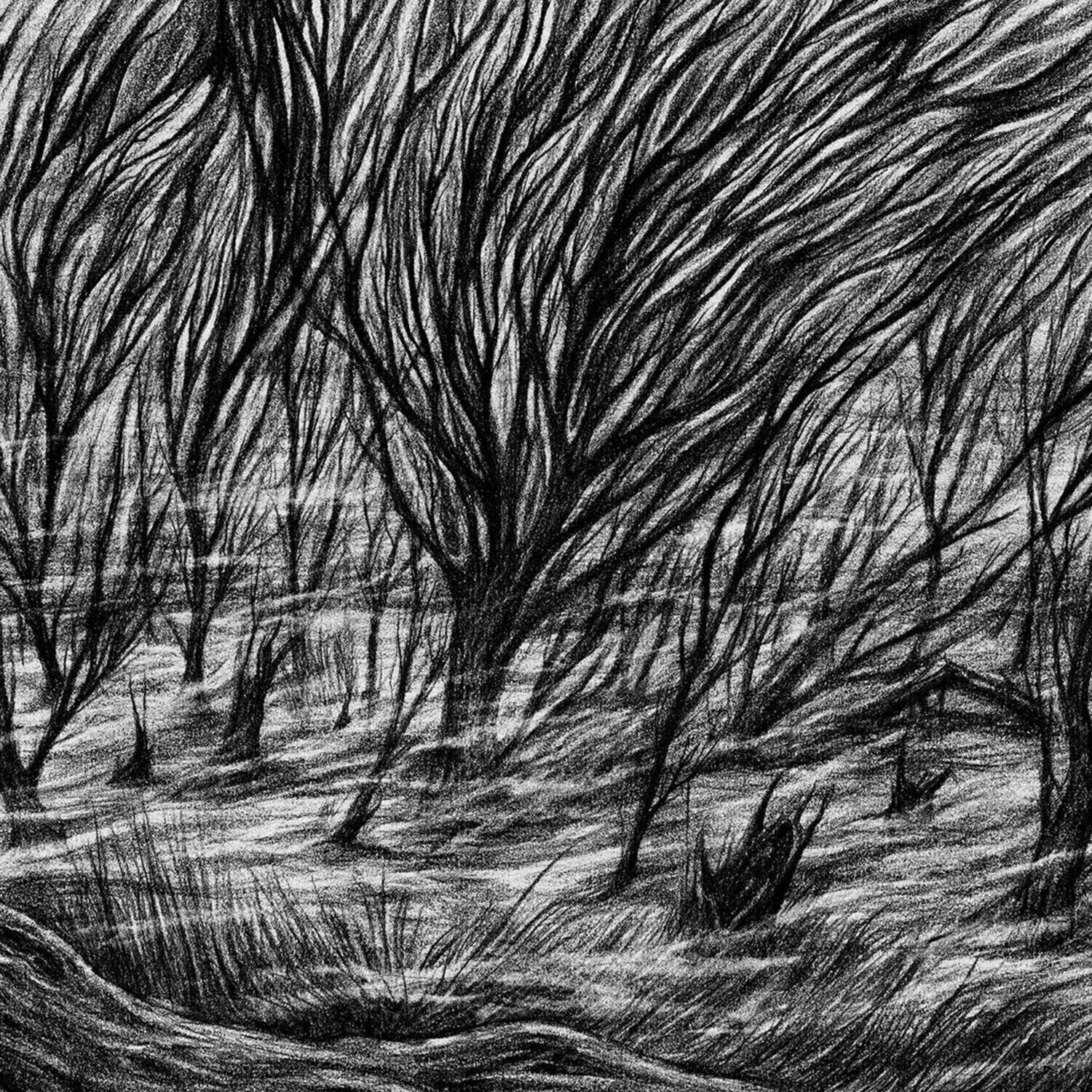 LP ploča Bismuth - The Eternal Marshes (LP)