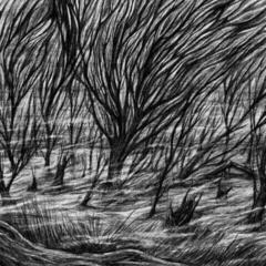 Грамофонна плоча Bismuth - The Eternal Marshes (LP)