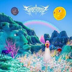 Vinyl Record Fire-Toolz - I Am Upset Because I See Something That Is Not There. (LP)