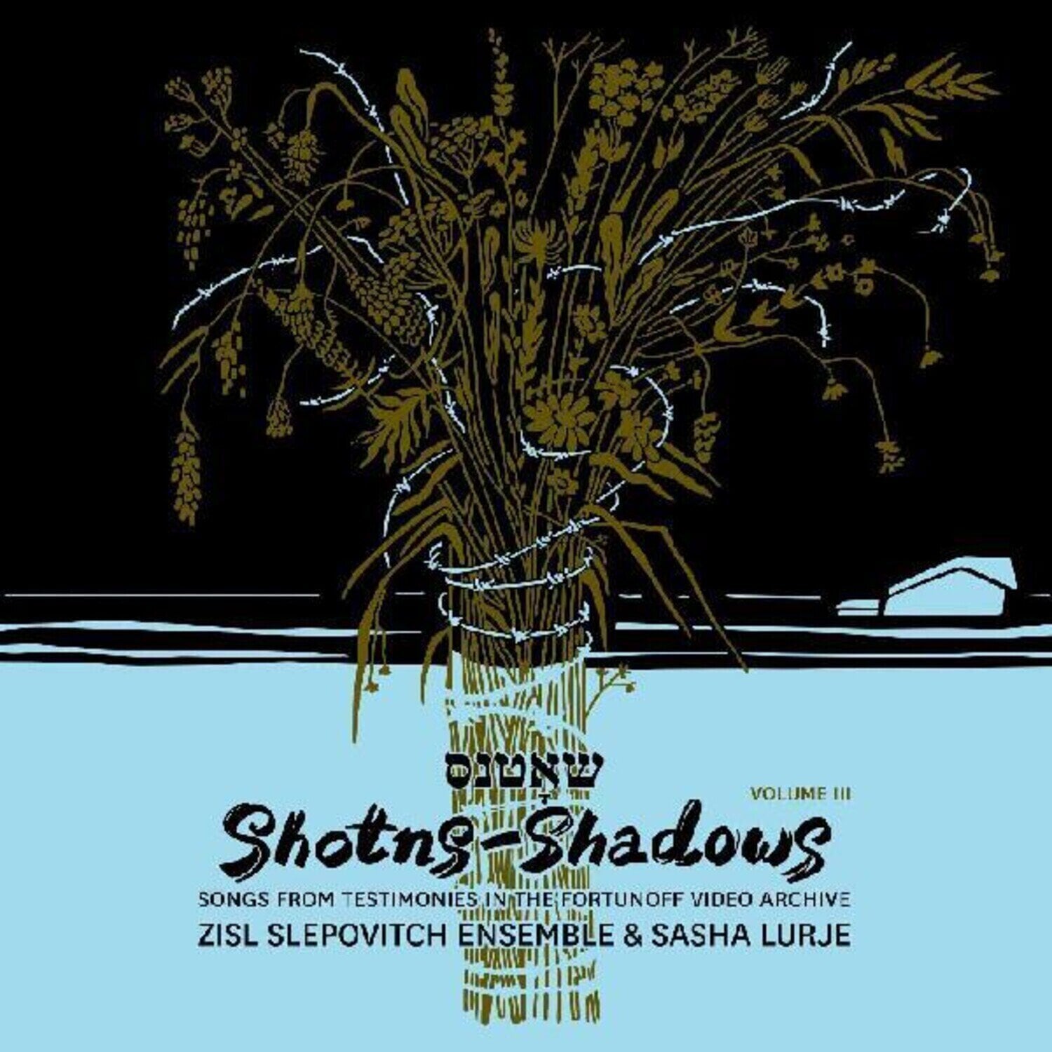 Disque vinyle Zisl Slepovitch Ensemble & Sasha Lurje - Shotns/Shadows, Songs From Testimonies, Volume 3 (2 LP)