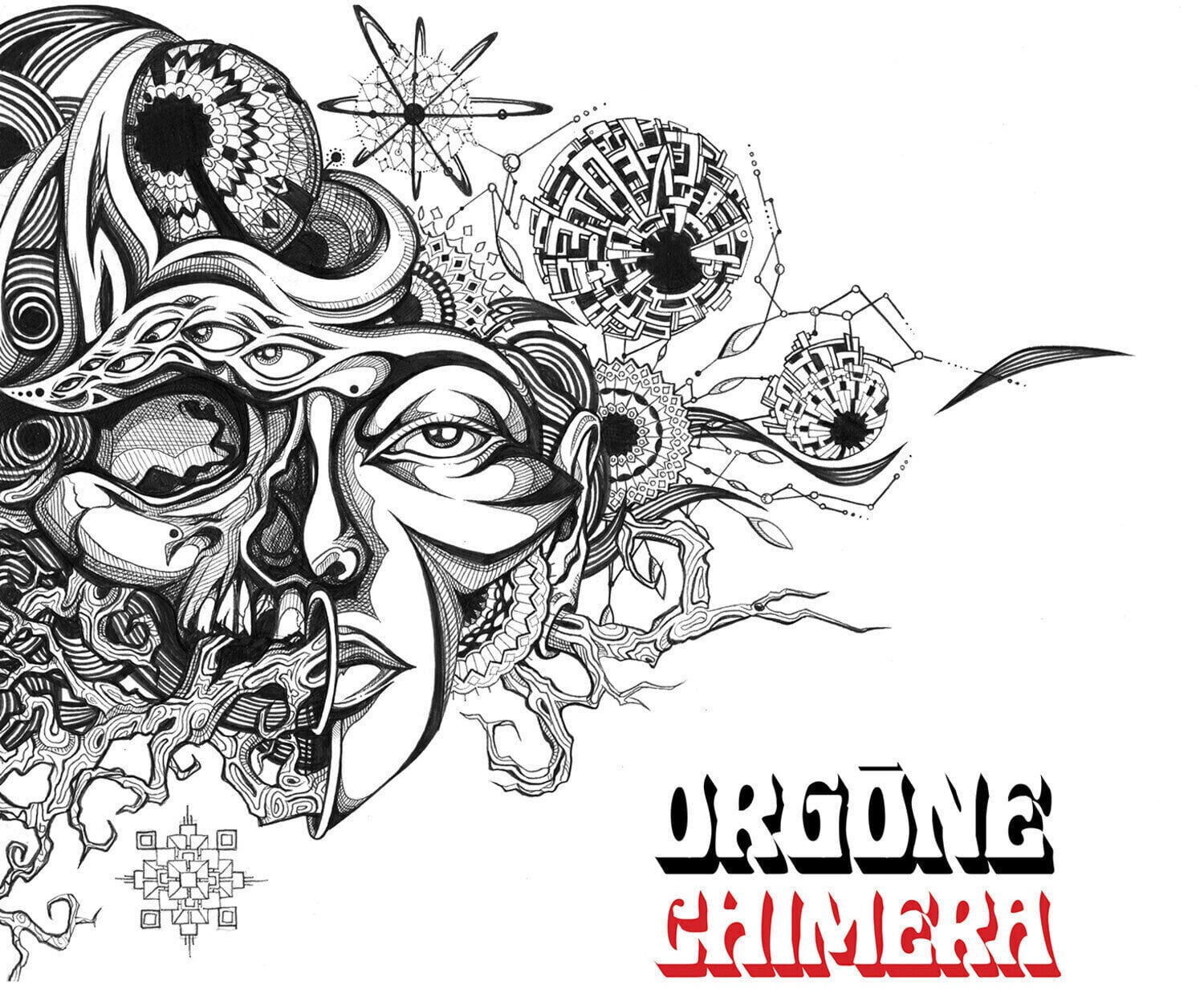 Vinyl Record Orgone - Chimera (LP)