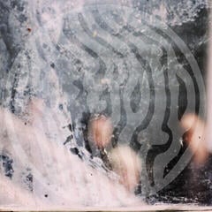 LP ploča Creepoid - Cemetery Highrise Slum (LP)