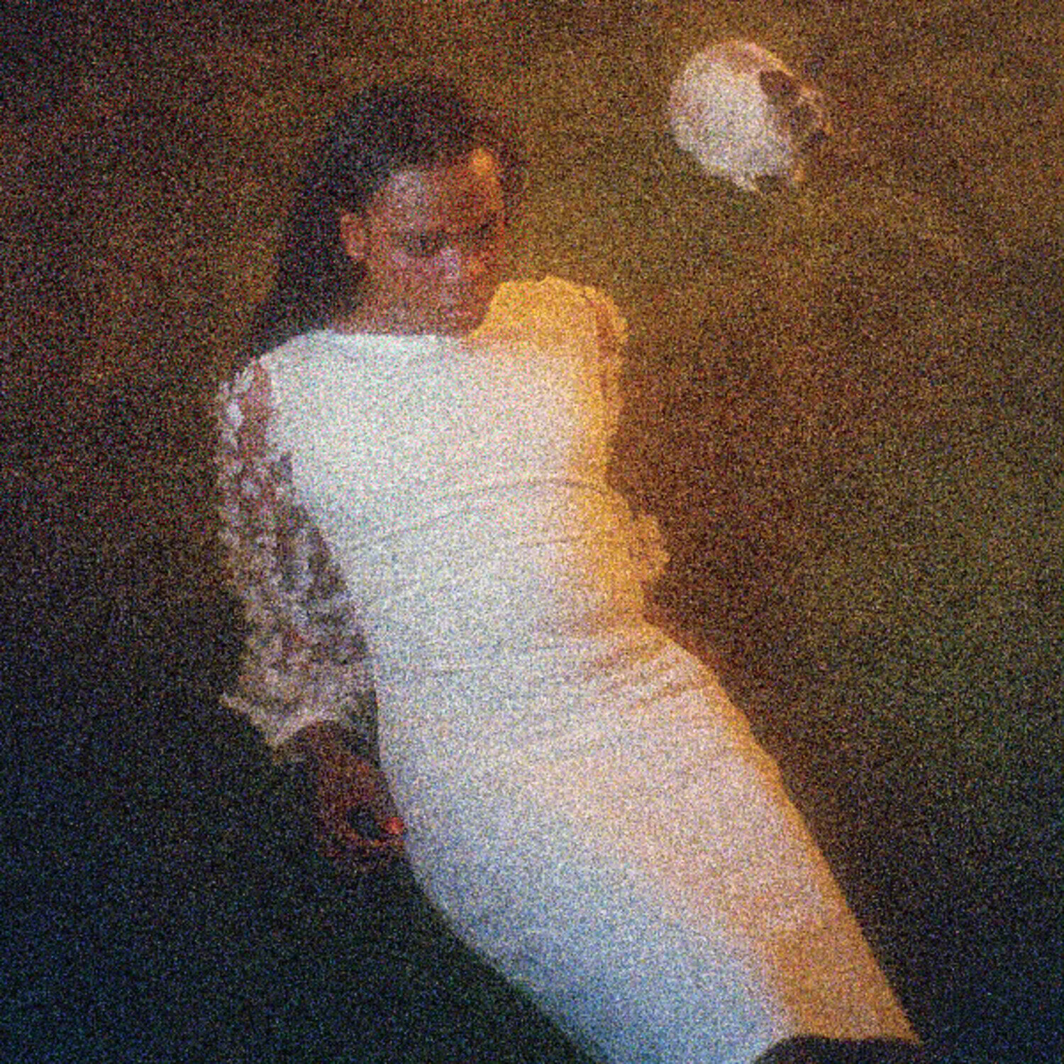 Vinyl Record Shamir - Ten (Limited Edition) (Coloured) (LP)