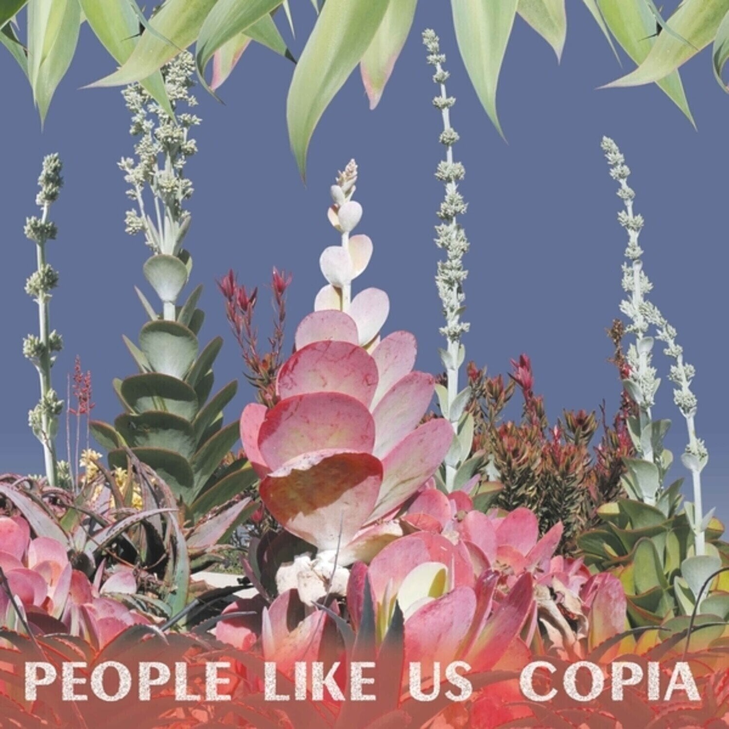 Vinyl Record People Like Us - Copia (Limited Edition) (LP)