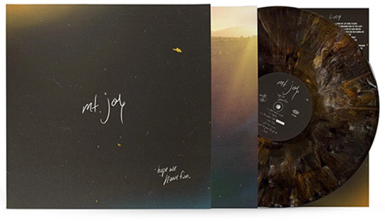 LP plošča Mt. Joy - Hope We Have Fun (Limited Edition) (Coyote Brown Coloured) (LP)