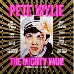 Disc de vinil Pete Wylie - Teach Yself WAH! - A Best of Pete Wylie & The Mighty WAH! (2 LP)