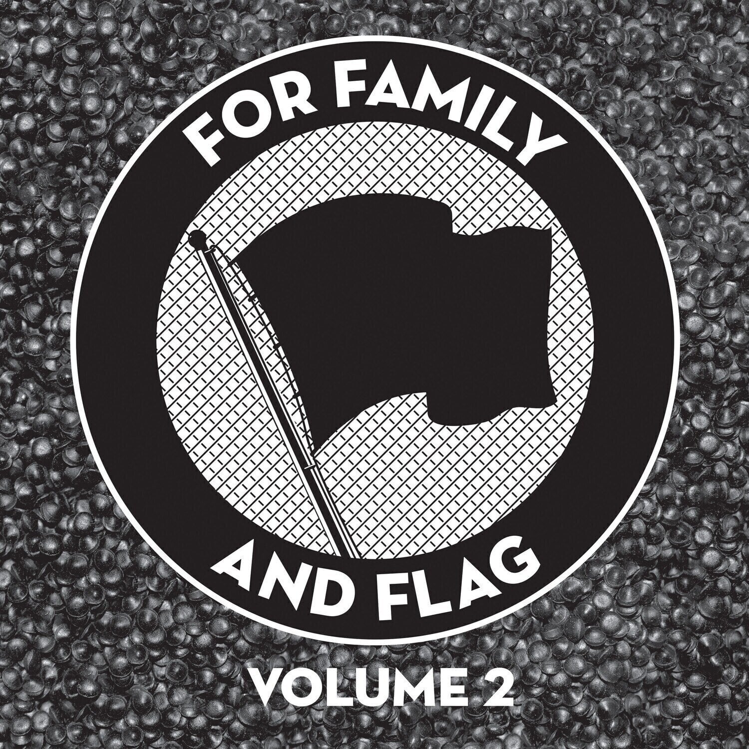 Vinyl Record Various Artists - For Family And Flag 2 (LP)