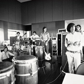 Грамофонна плоча Los Texao - El Sonido Niebla de Los Texao (LP) - 1