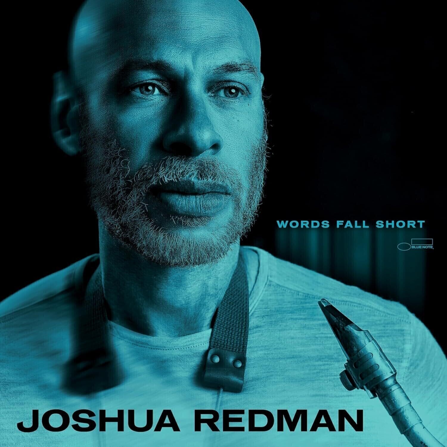 Vinyl Record Joshua Redman - Words Fall Short (LP)