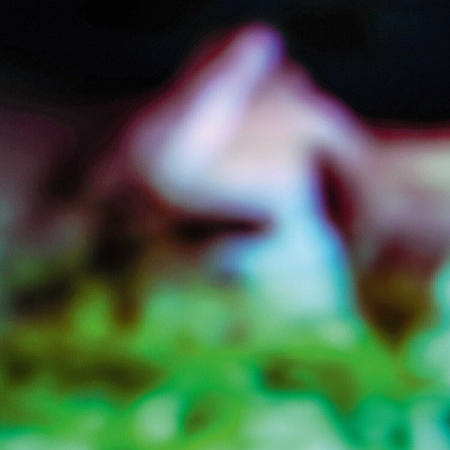 Vinyl Record Hair & Treasure - Disc Rot (LP)