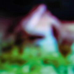 Vinyl Record Hair & Treasure - Disc Rot (LP)