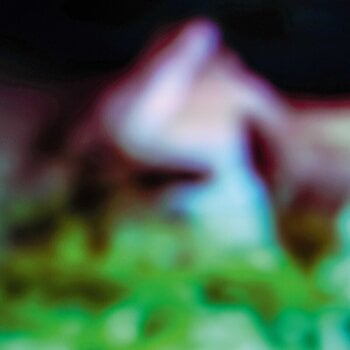 Vinyl Record Hair & Treasure - Disc Rot (LP) - 1