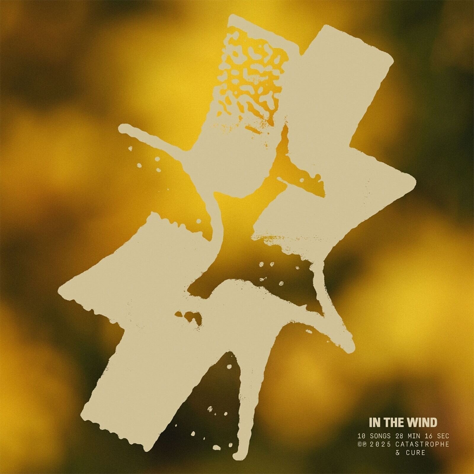 Vinyl Record Catastrophe And Cure - In The Wind (LP)