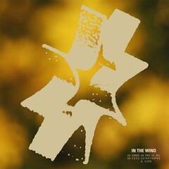 Vinyl Record Catastrophe And Cure - In The Wind (LP)