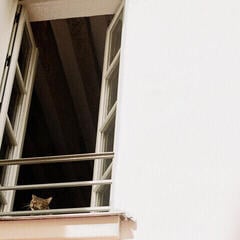 Грамофонна плоча Maol - Something Soft (LP)