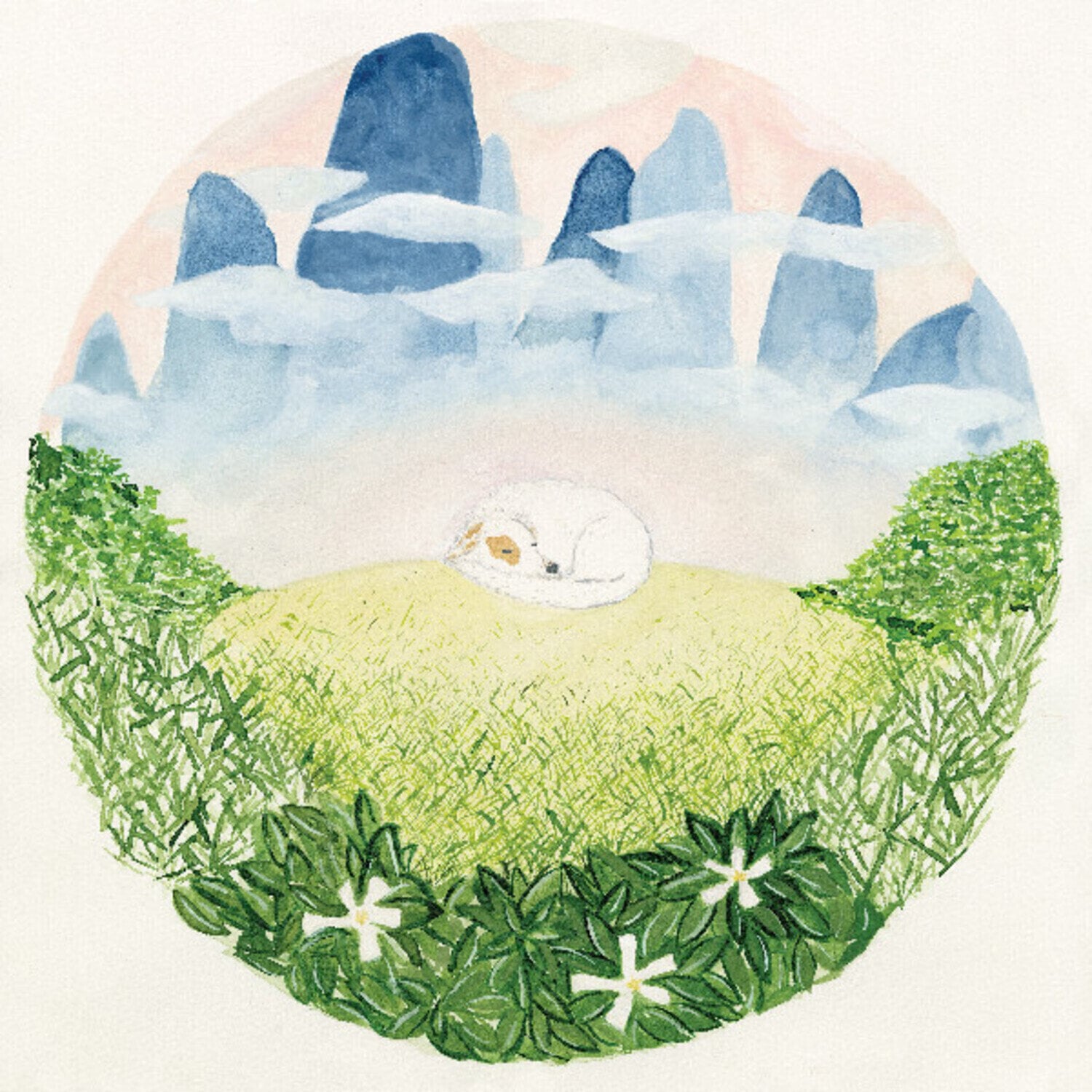 LP plošča Ben Hackett - Songs for Sleeping Dogs (2 LP)