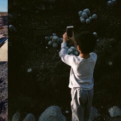 Vinyl Record Mega Bog - Life, And Another (LP)