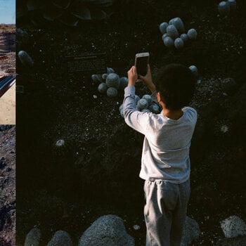 Vinyl Record Mega Bog - Life, And Another (LP) - 1