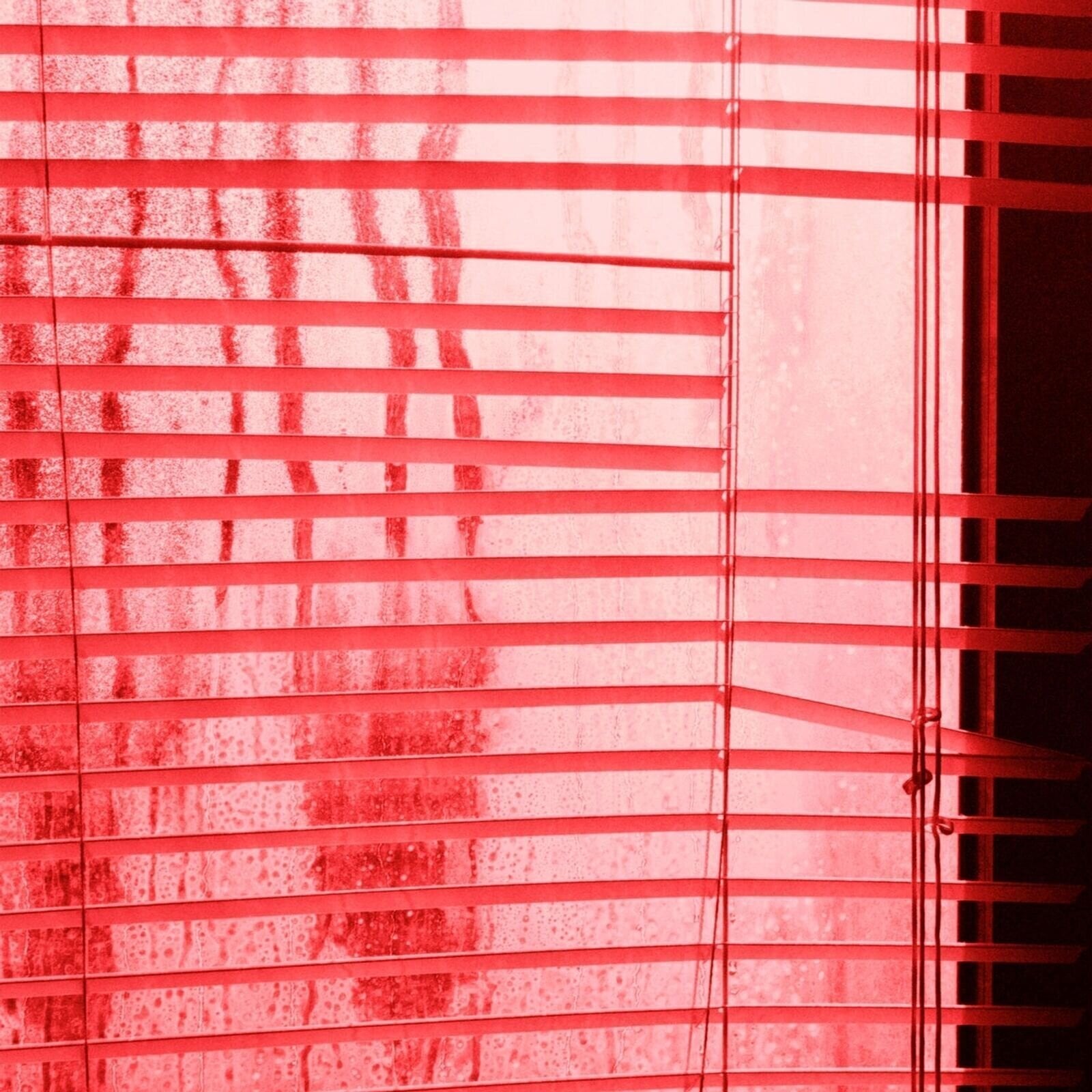 Vinyl Record Luggage - Happiness (LP)