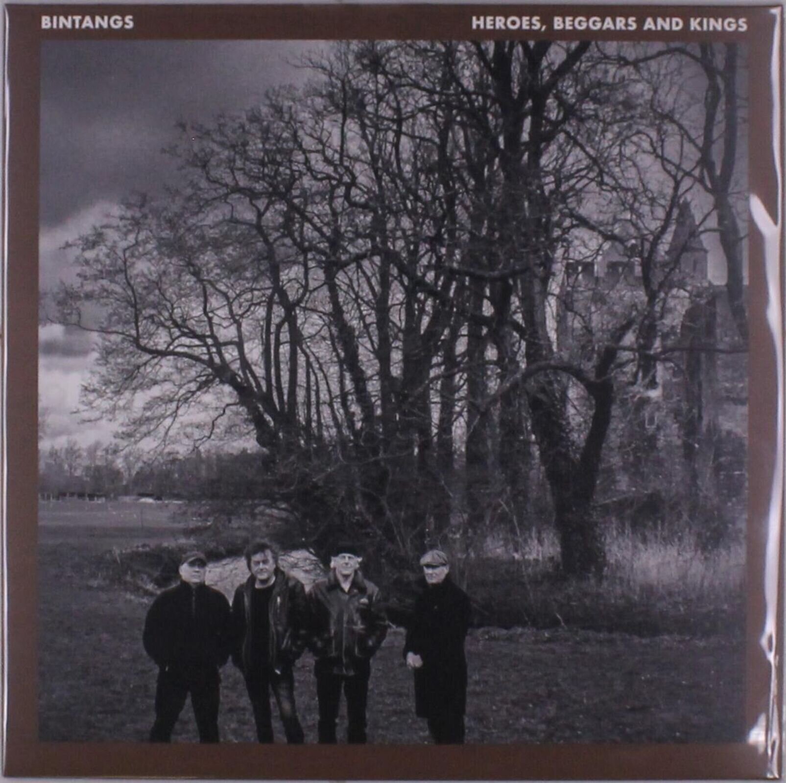 Vinylplade Bintangs - Heroes, Beggars And Kings (LP)