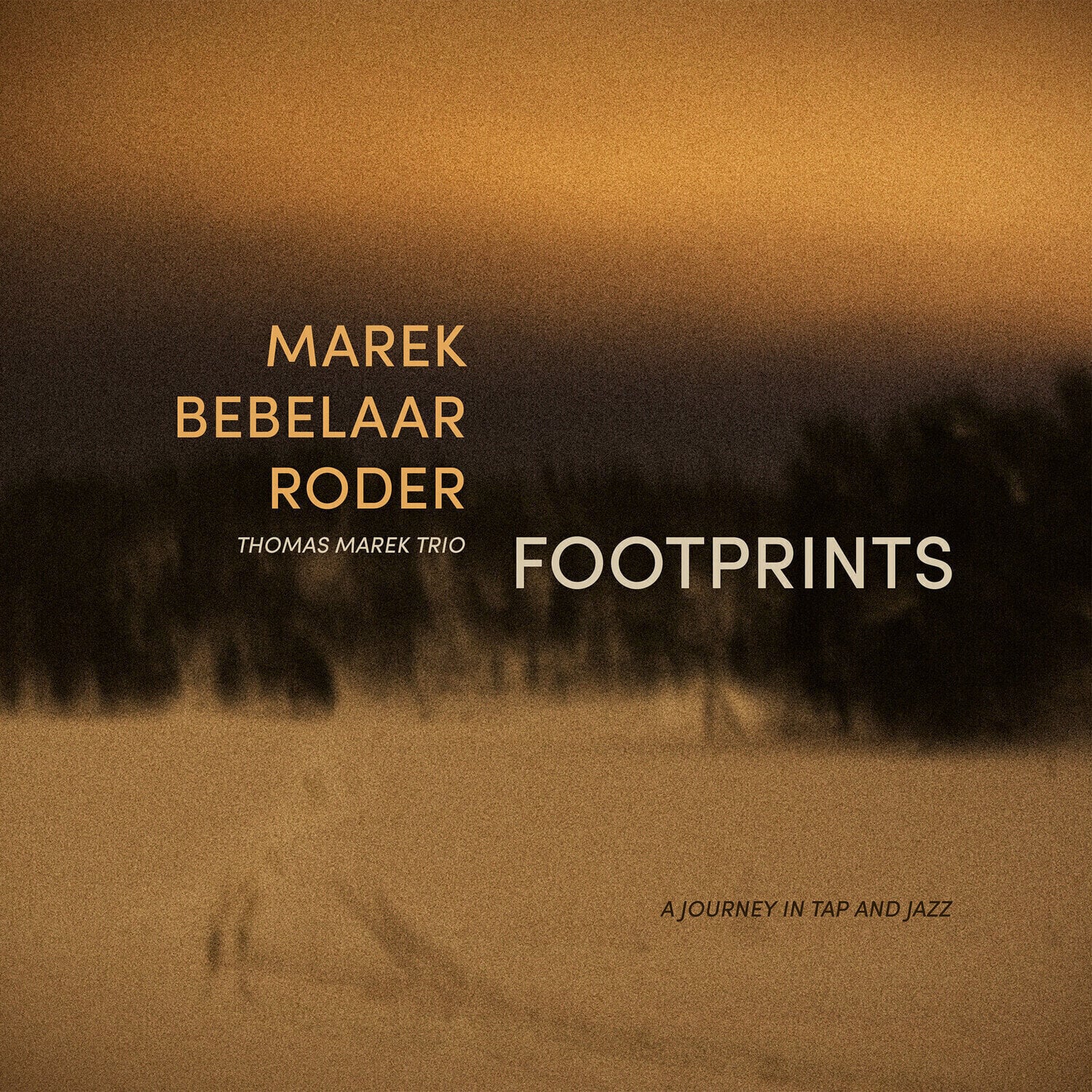 Vinyl Record Thomas Marek & Patrick Bebelaar & Jan Roder & Thomas Marek Trio - Footprints (LP)
