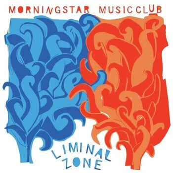 Vinyl Record Morningstar Music Club - Liminal Zone (LP) - 1