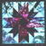 Schallplatte Eight Point Star - Eight Point Star (LP)