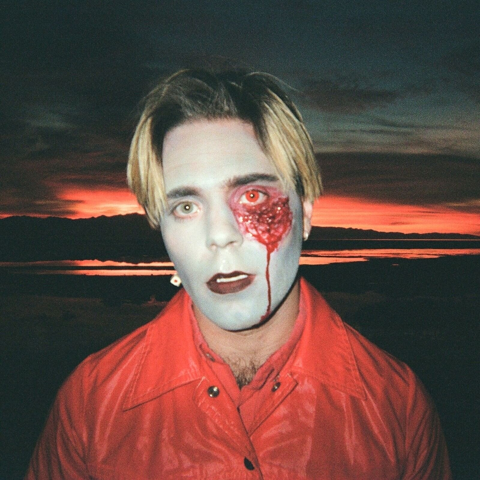 Vinyl Record Choir Boy - Gathering Swans (Limited Edition) (Coloured) (LP)