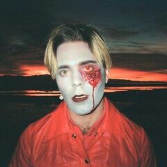 Vinyl Record Choir Boy - Gathering Swans (Limited Edition) (Coloured) (LP)