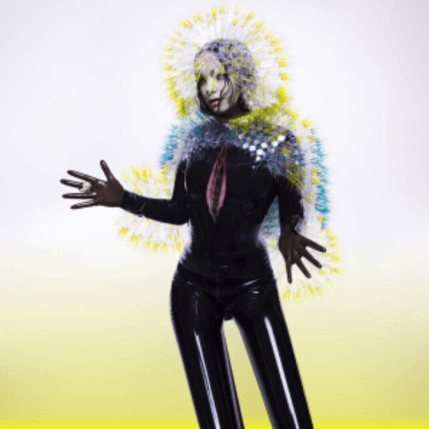 Vinyl Record Björk - Vulnicura (Reissue) (2 LP)