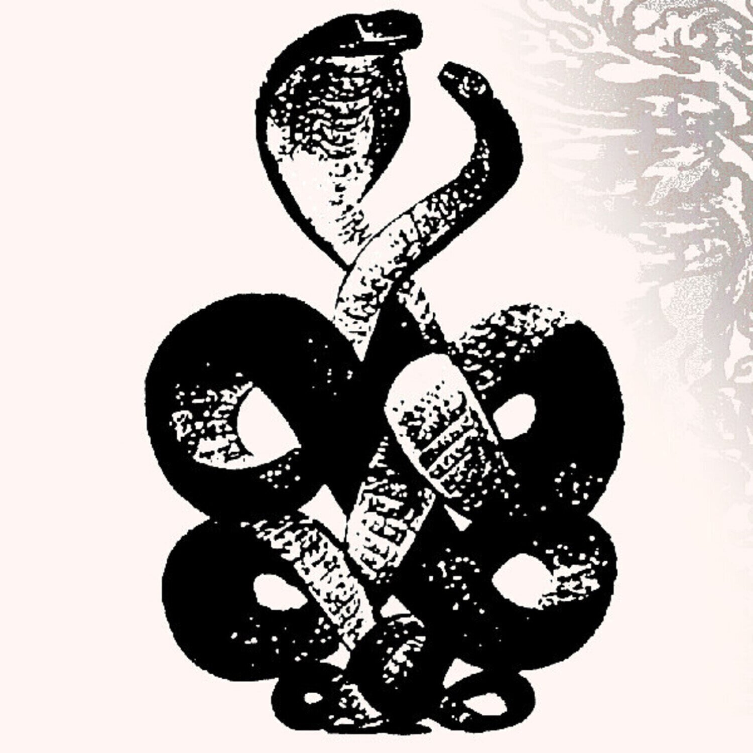 Disco de vinil Bardo Pond - Volumes 4 & 5 (Limited Edition) (2 LP)