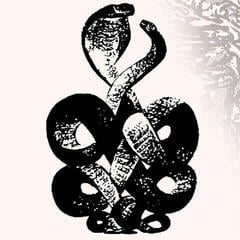 Disco de vinil Bardo Pond - Volumes 4 & 5 (Limited Edition) (2 LP)